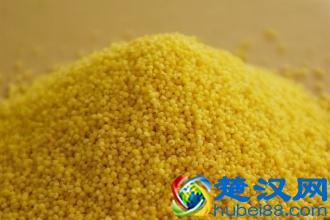 五谷杂粮都有哪些？五谷杂粮养生食谱都有什么？