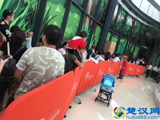 蝶舞生活 倾城绽放 杭州首个蝴蝶公园在西溪欢乐城盛大开园