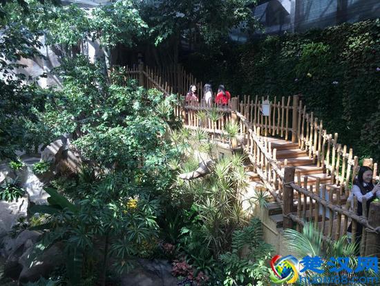 蝶舞生活 倾城绽放 杭州首个蝴蝶公园在西溪欢乐城盛大开园