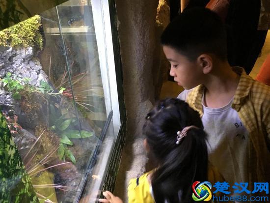 蝶舞生活 倾城绽放 杭州首个蝴蝶公园在西溪欢乐城盛大开园