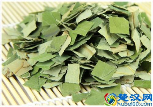 女性喝荷叶茶，可以减肥、降胆固醇、排毒？辟谣：喝多了反而不好