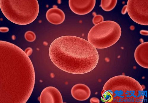 女性喝荷叶茶，可以减肥、降胆固醇、排毒？辟谣：喝多了反而不好