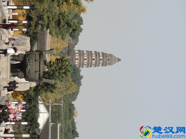 愤怒青年陈子龙