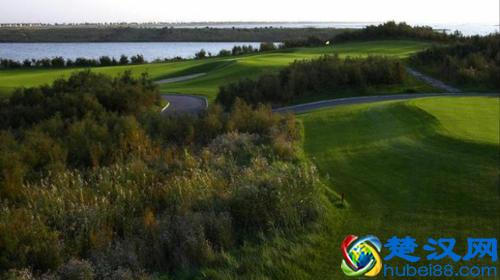 愤怒青年陈子龙