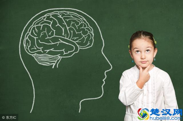 龙眼好吃，但为什么不能多吃？得避免上火