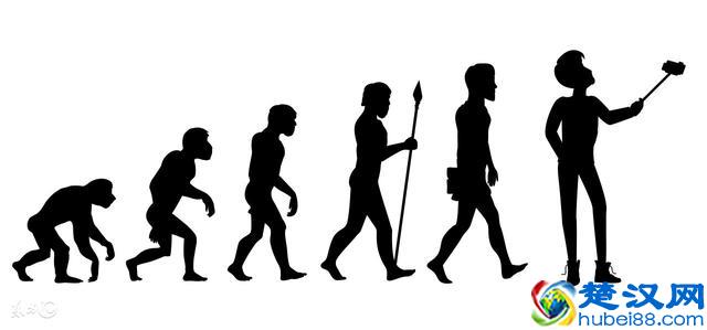 人如果不吃盐，会怎么样？