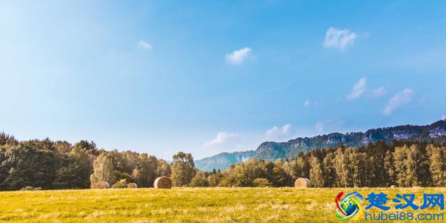 阳光保险的重疾险值得买吗？这是18款阳光重疾险对比分析