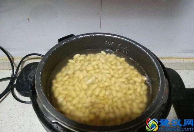 在家制作黄豆豆瓣酱，方法超级简单