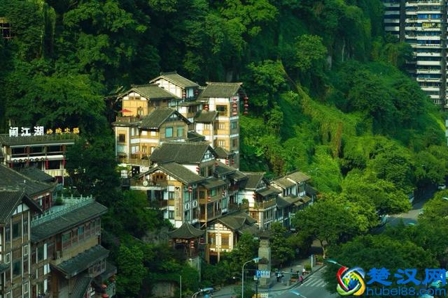 为什么要买一支微距镜头？除了拍微距还能拍什么？