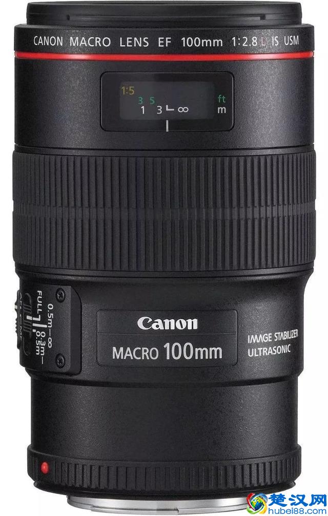 为什么要买一支微距镜头？除了拍微距还能拍什么？