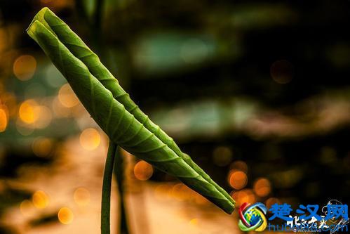 画地为牢，是自卑者的禁忌