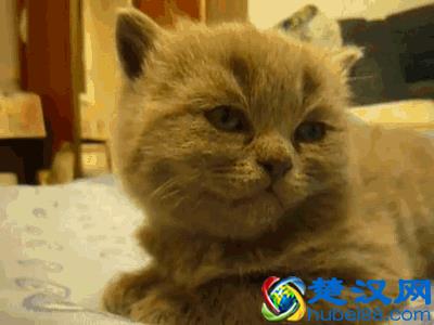 做到一半，怎能不举？