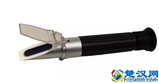 把小丑鱼尼莫带回家到底要花多少钱？