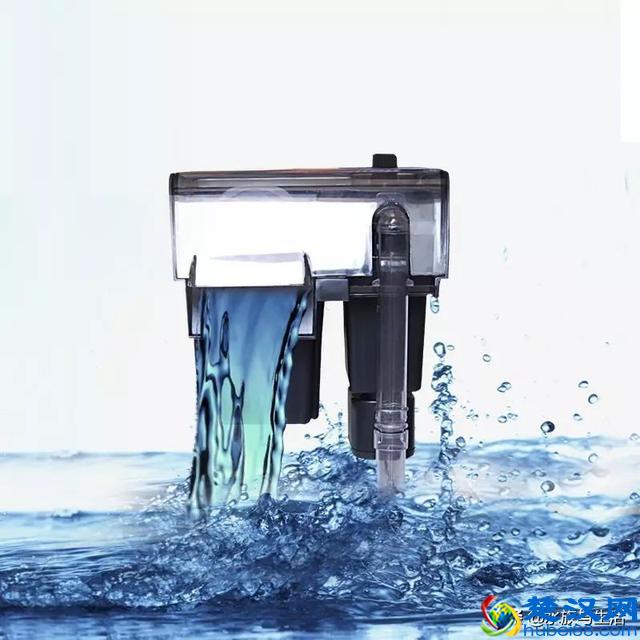 把小丑鱼尼莫带回家到底要花多少钱？