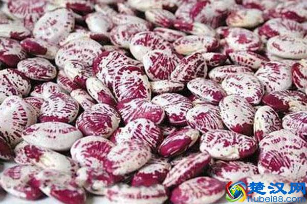 花豆是什么 花豆和芸豆的区别