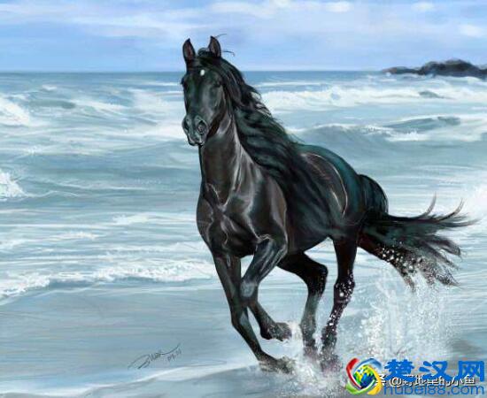 汗血宝马一匹最高几千万