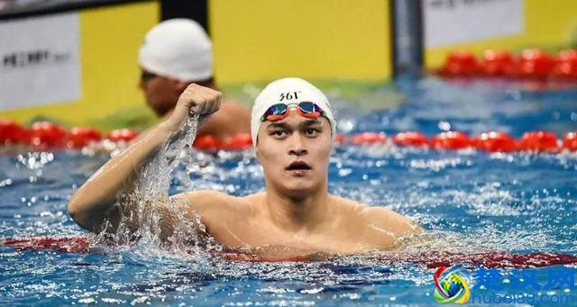 没有服用兴奋剂，孙杨竟被禁赛八年！那晚究竟发生了什么？