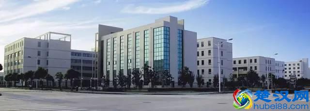 「品牌力量」永创智能：食品包装机械设备完美方案设计者