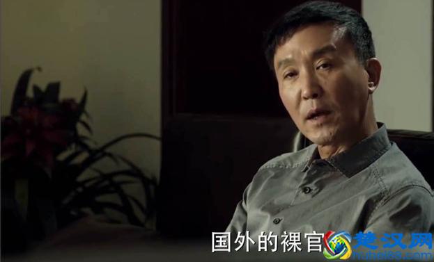 让李达康辣么紧张的，原来是这件事，我来解释下什么是裸官