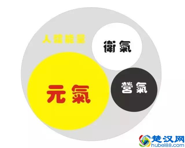 什么是阳气？为什么要补阳气？怎样补阳气？（分享）