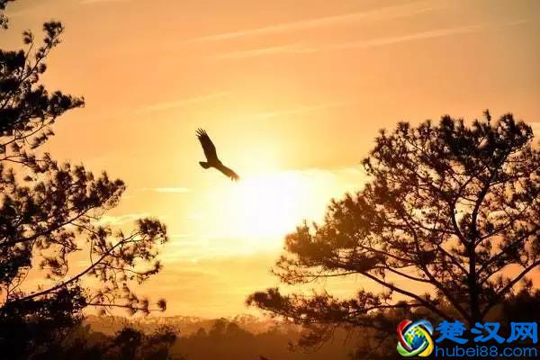 什么是阳气？为什么要补阳气？怎样补阳气？（分享）