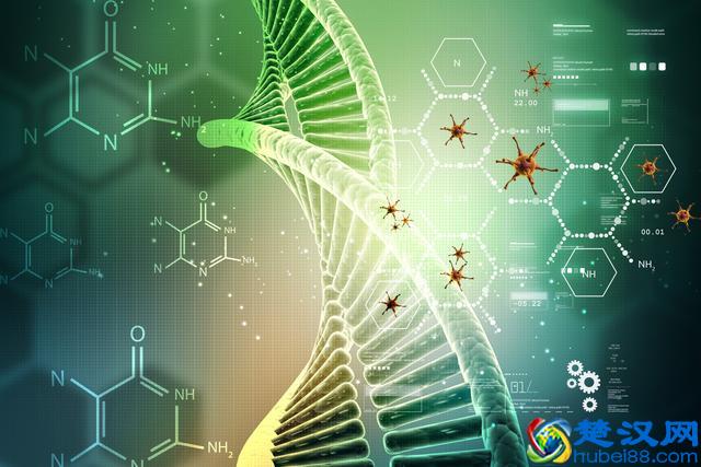 新冠肺炎核酸检测假阴性，怎么办？