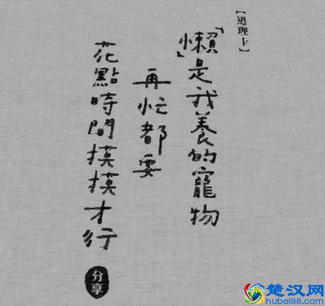 如何写出治愈系文案？