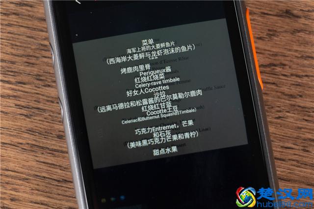 说走就走 旅行无界 准儿Pro人工智能翻译机测评