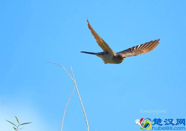 摄影技巧：快门速度怎么调？拍摄不同场景如何调快门速度？