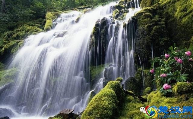 摄影技巧：快门速度怎么调？拍摄不同场景如何调快门速度？