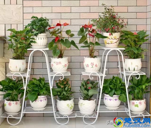 7个淘宝万人评价热销好物，整齐你家的每个小地方！