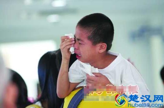 补习班里没有春天，所有的补习班都是在耍流氓