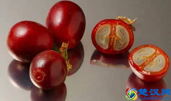 专业咖啡师培训｜图文详解咖啡果加工过程，风味特点及烘焙变化