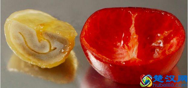 专业咖啡师培训｜图文详解咖啡果加工过程，风味特点及烘焙变化