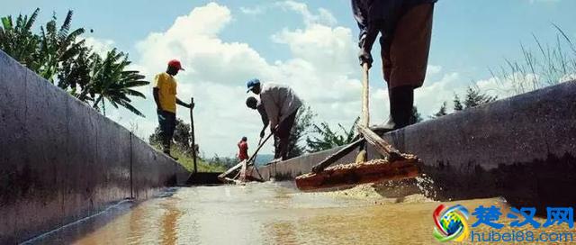 专业咖啡师培训｜图文详解咖啡果加工过程，风味特点及烘焙变化