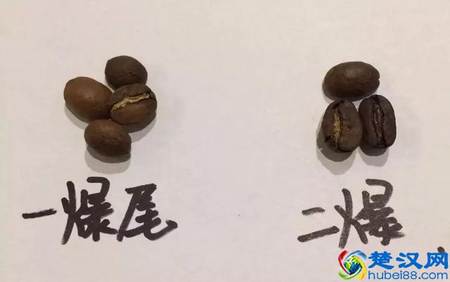 专业咖啡师培训｜图文详解咖啡果加工过程，风味特点及烘焙变化