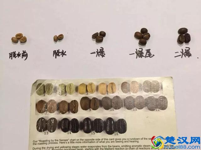 专业咖啡师培训｜图文详解咖啡果加工过程，风味特点及烘焙变化