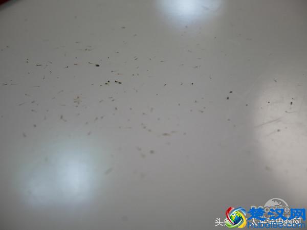 性价比之王！飞利浦剃须刀S586终极评测来袭！