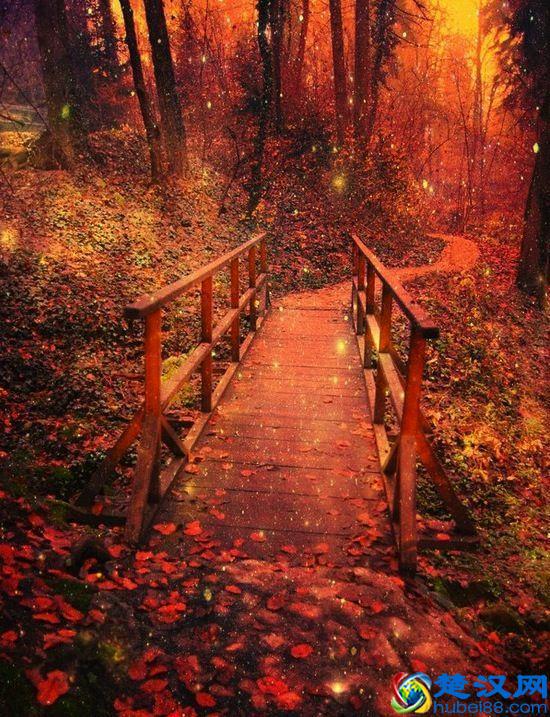 你怕什么它就来什么的心理学效应：墨菲定律