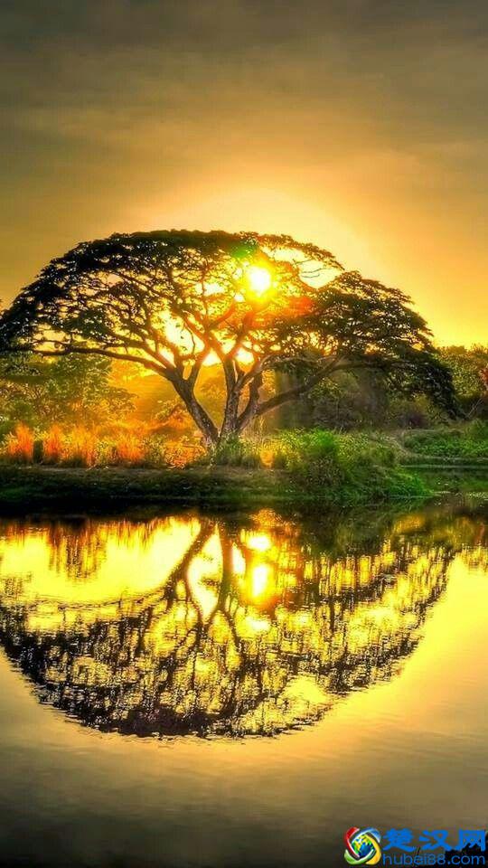 你怕什么它就来什么的心理学效应：墨菲定律