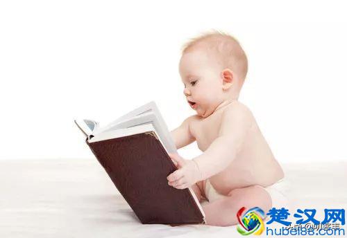 右脑及左脑的功能