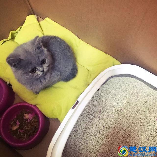 5款真正美白的产品！让你爱不释手