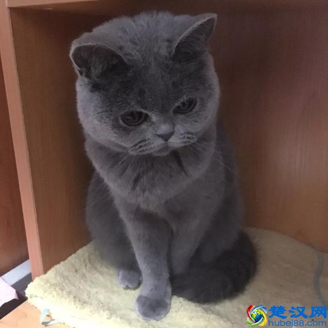 5款真正美白的产品！让你爱不释手