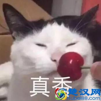 5款真正美白的产品！让你爱不释手