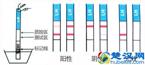 怎样看验孕纸的测试结果？据说好些准妈都弄错了！