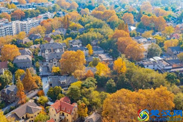 南京真的适合生活吗？在南京两天，让我大开眼界