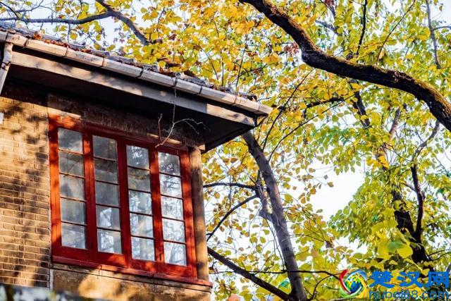 南京真的适合生活吗？在南京两天，让我大开眼界