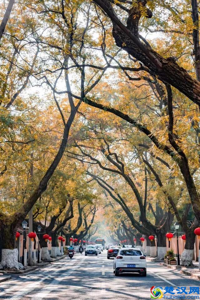 南京真的适合生活吗？在南京两天，让我大开眼界