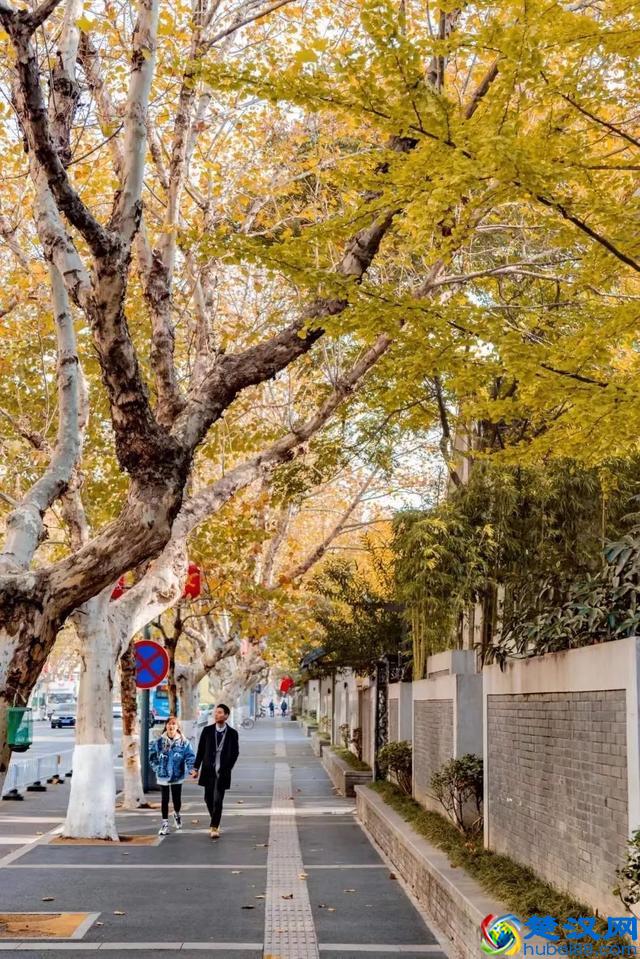 南京真的适合生活吗？在南京两天，让我大开眼界