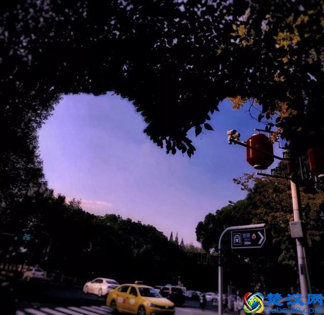 南京真的适合生活吗？在南京两天，让我大开眼界